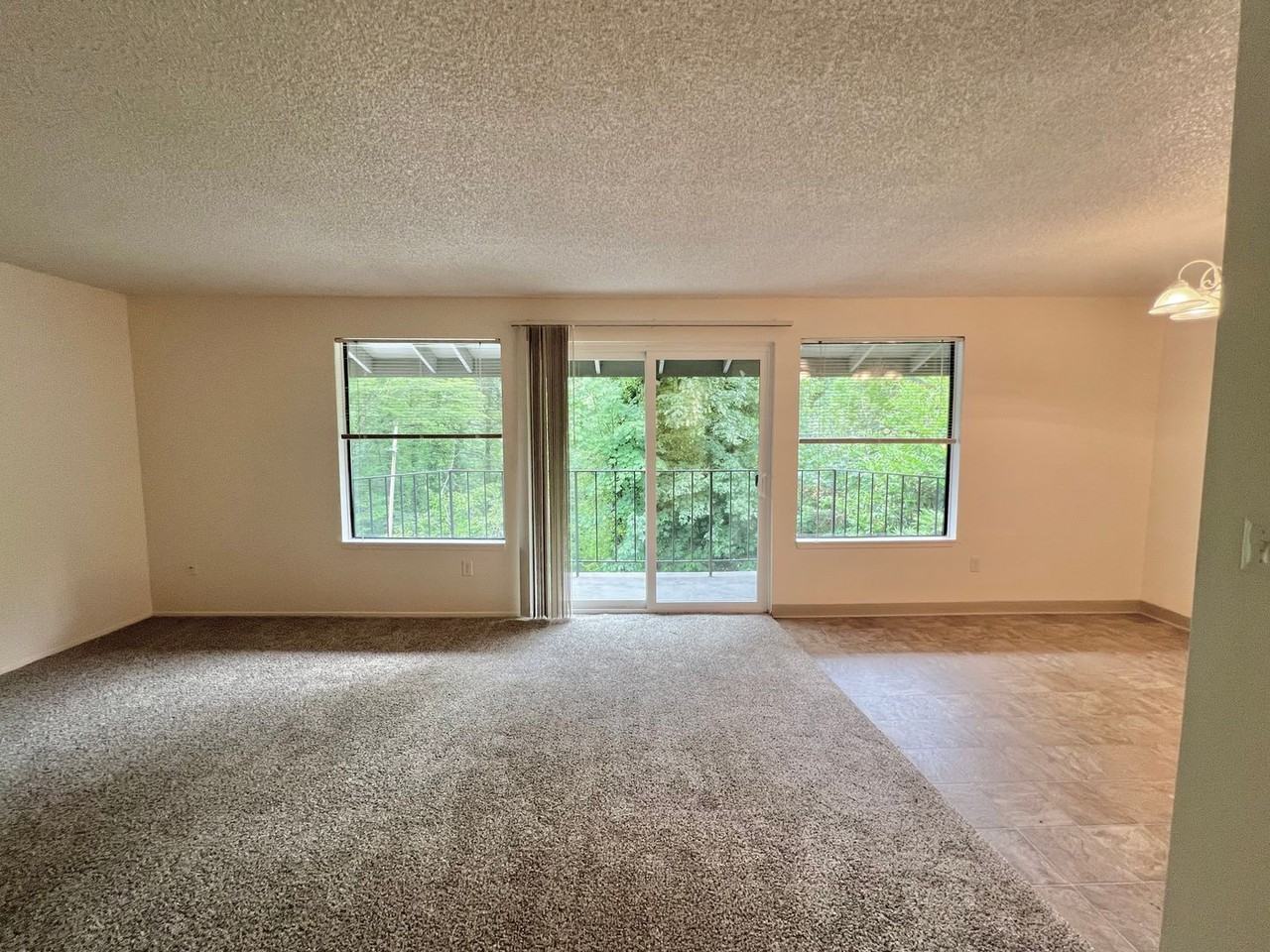 #130 HYDE PARK TERRACE - Photo 4 of 46