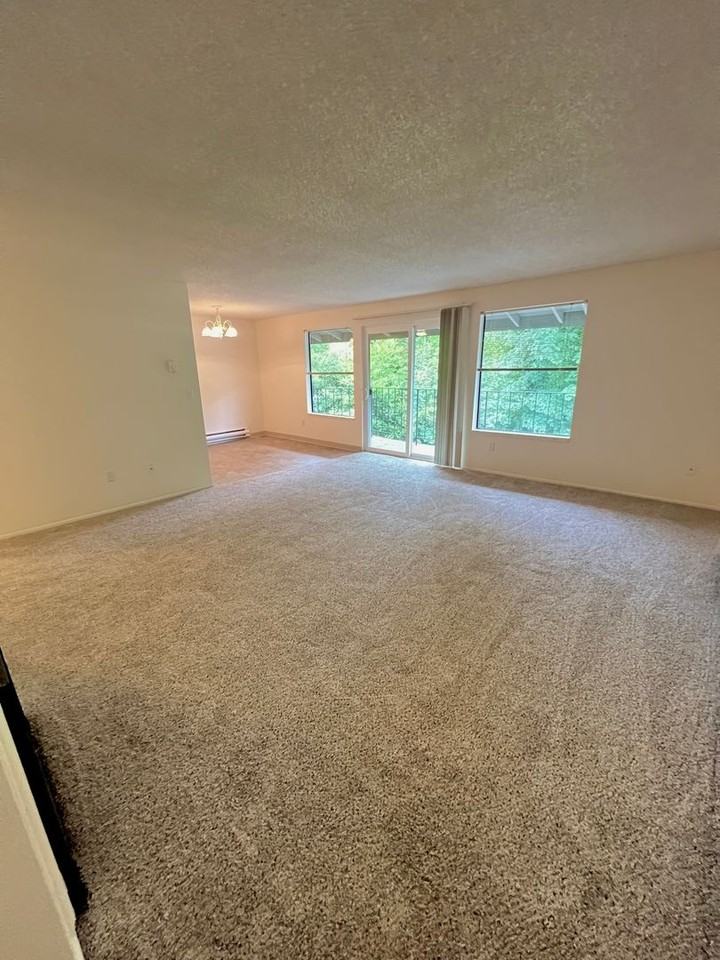 #130 HYDE PARK TERRACE - Photo 5 of 46