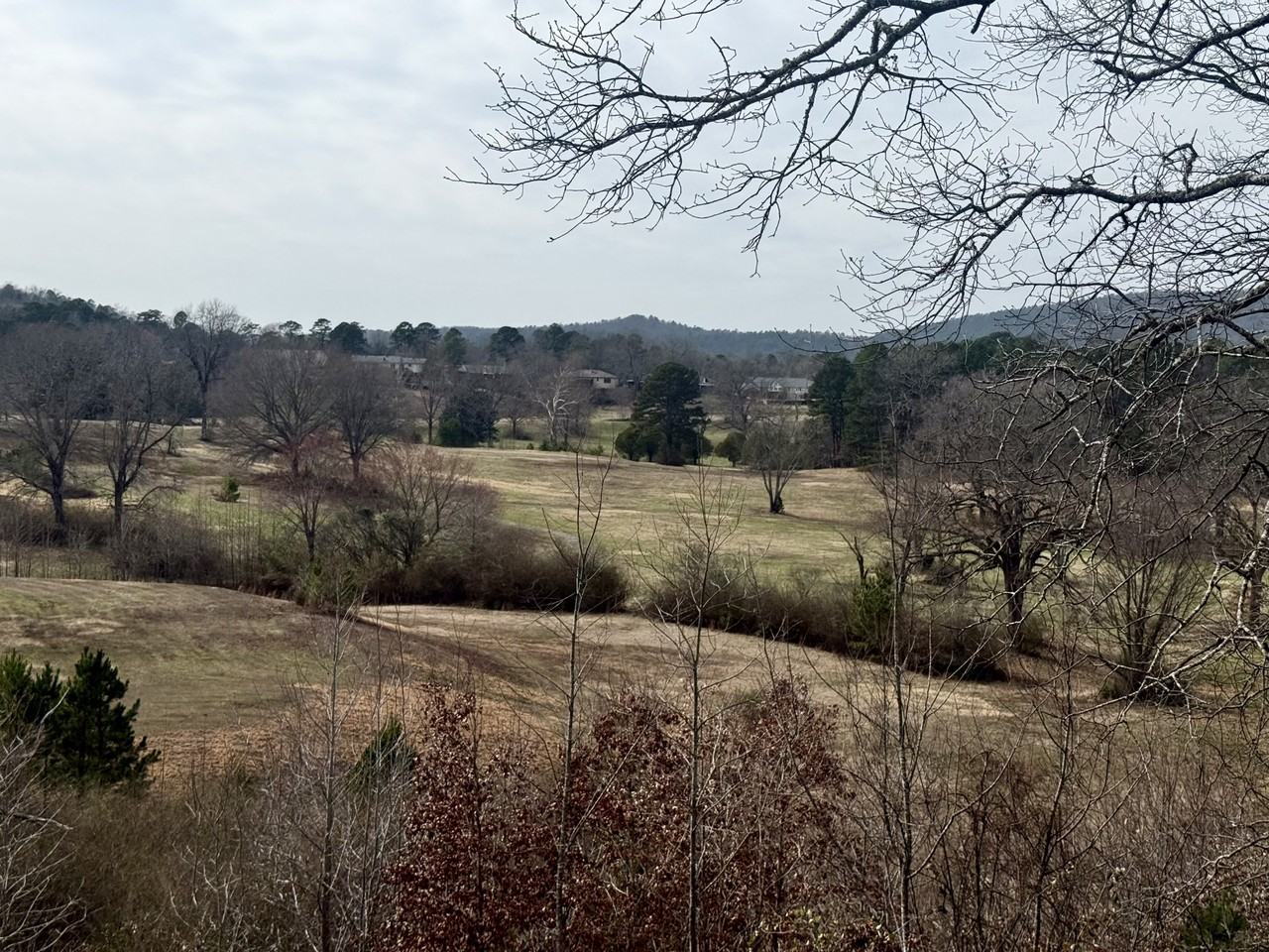 501 Belvedere Drive - Photo 5 of 50