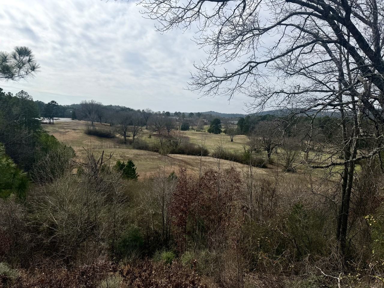 501 Belvedere Drive - Photo 4 of 27