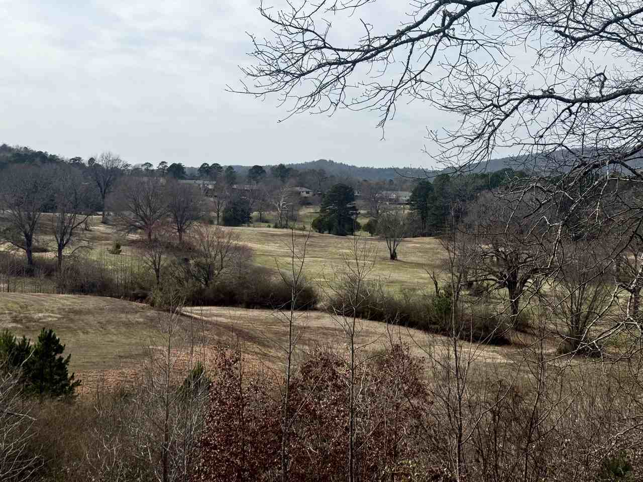 501 Belvedere Drive - Photo 5 of 27