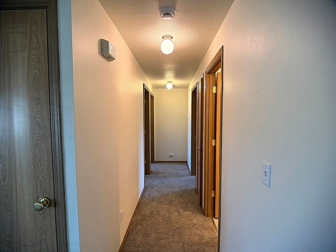 229 Canvasback Dr - Photo 5 of 12