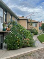 Race Street - Photo 1 of 1