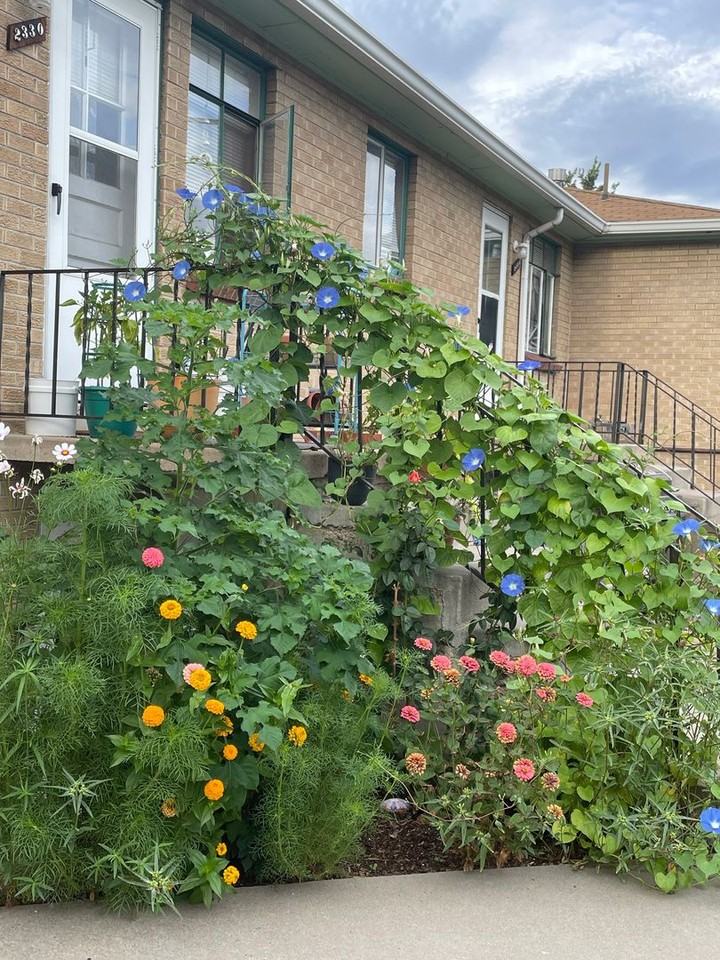 Race Street - Photo 3 of 50