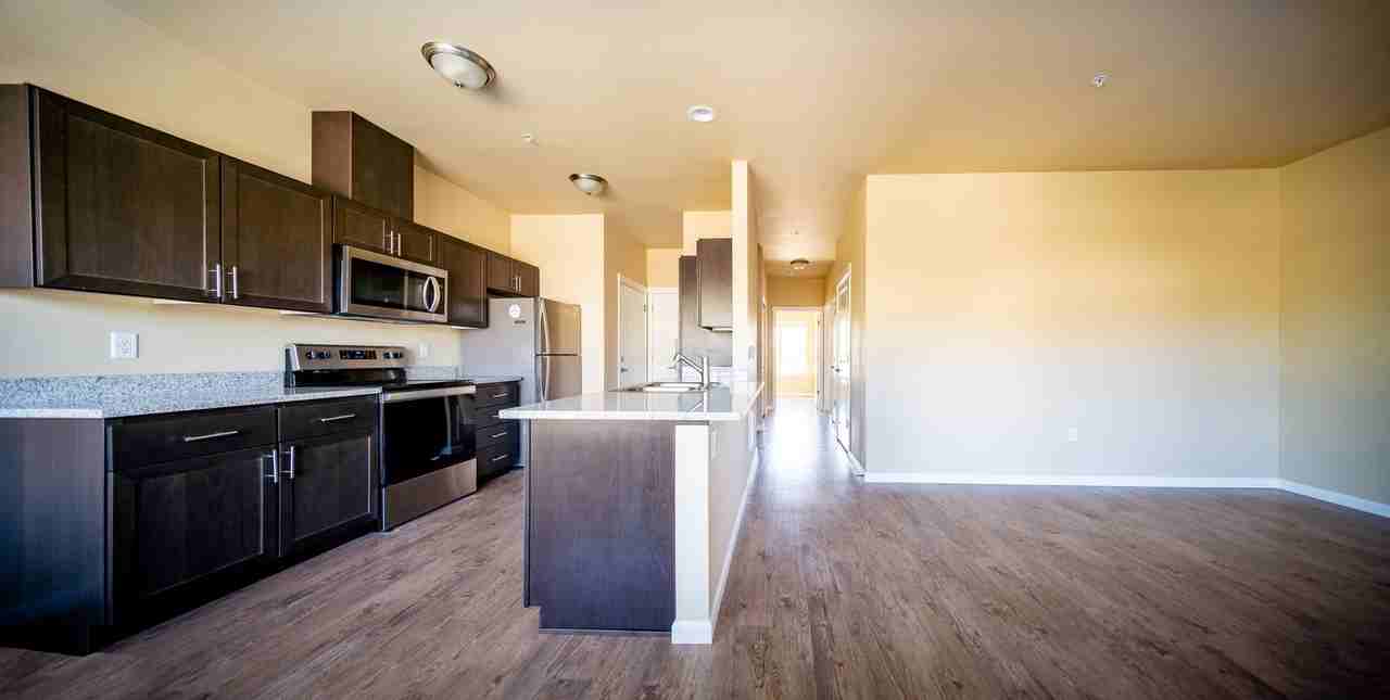 Willow Tree Place - Photo 4 of 36