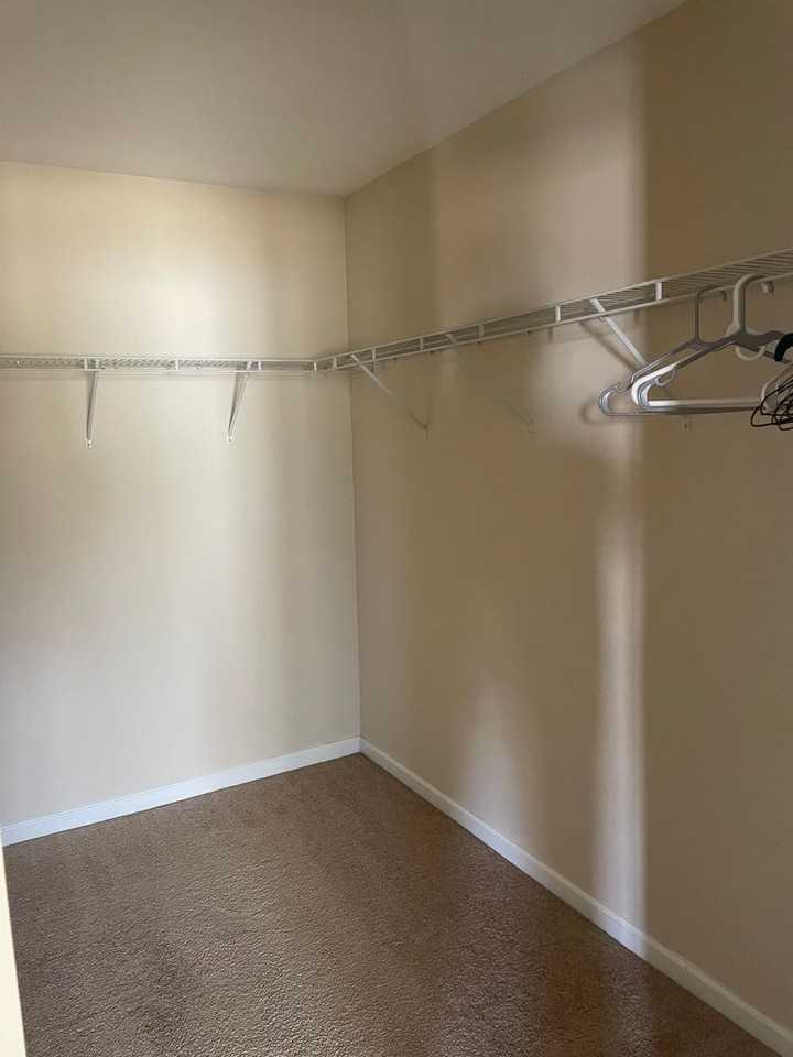 547 Song Sparrow Ln - Photo 7 of 16