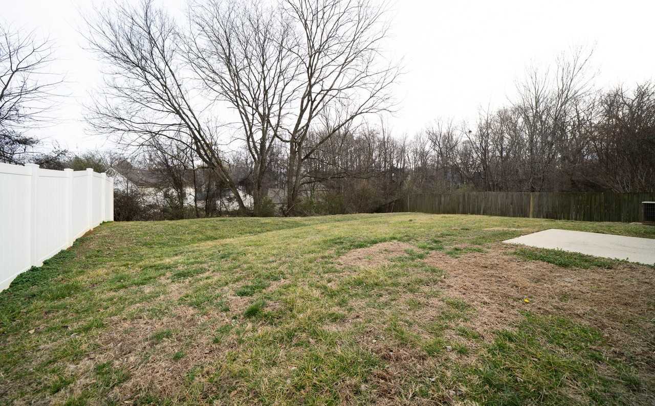 9224 Aloysia Ln - Photo 3 of 26