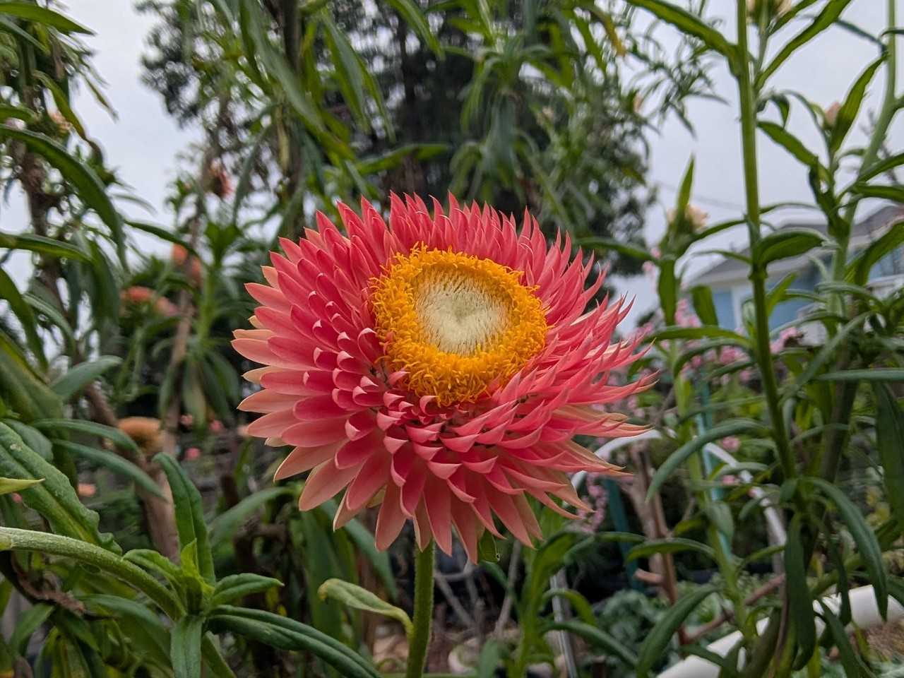 887 43rd St - Photo 5 of 23