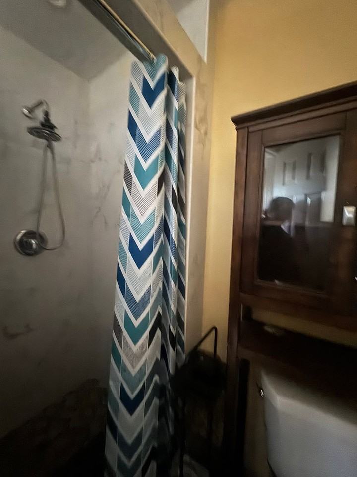 225 W Elm St - Photo 4 of 15