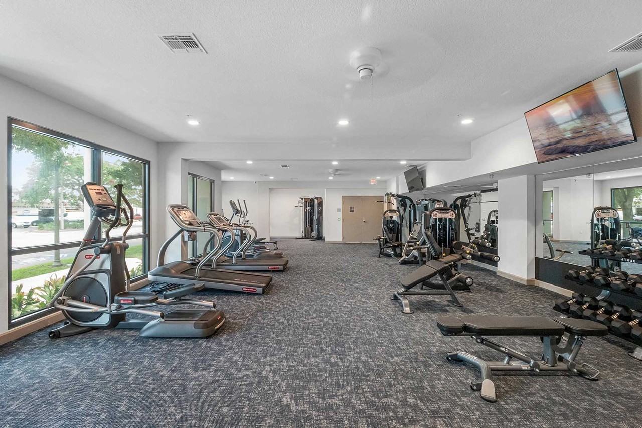 Gallery 3100 - Photo 7 of 34