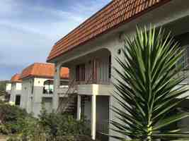 featured image of 3153 Eucalyptus St