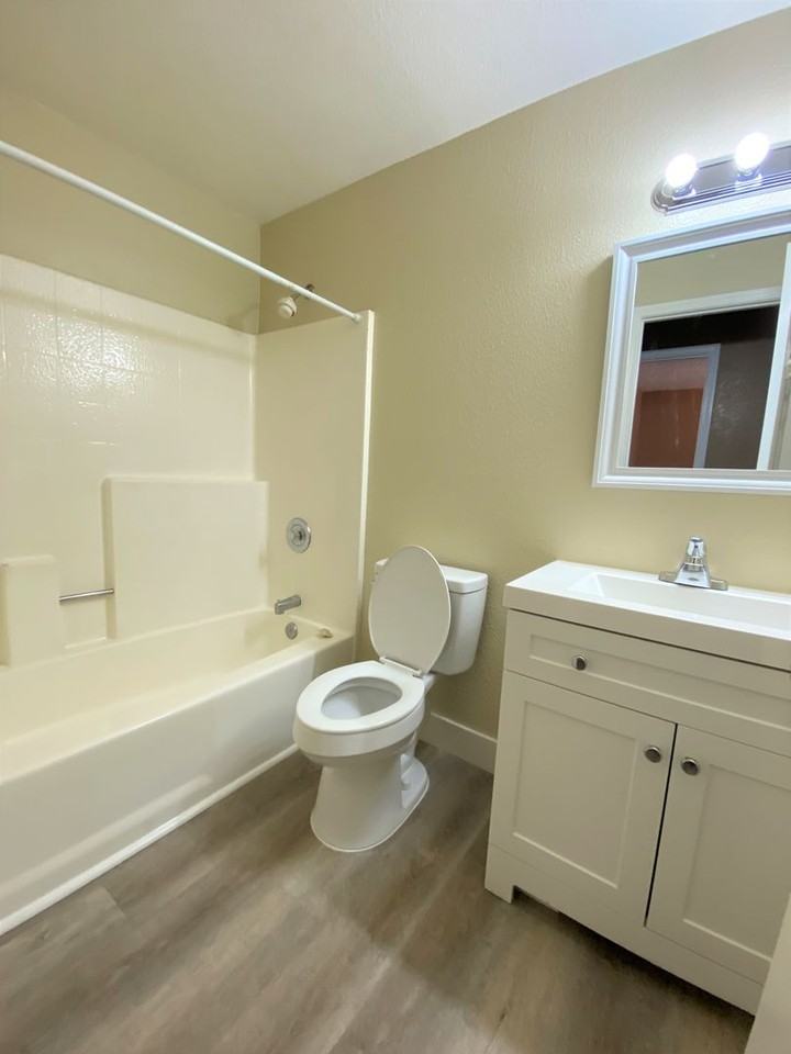 1704 Round Mountain Cir - Photo 4 of 13