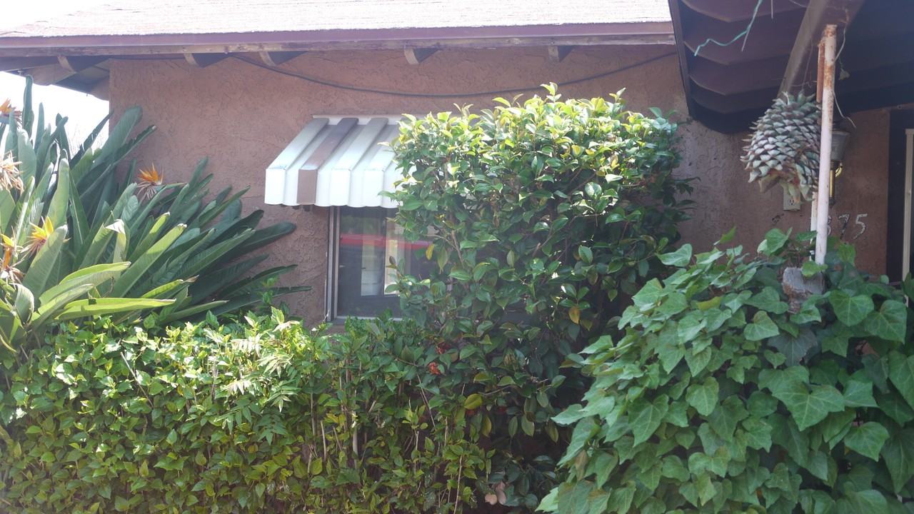 1375 Reece St - Photo 3 of 21