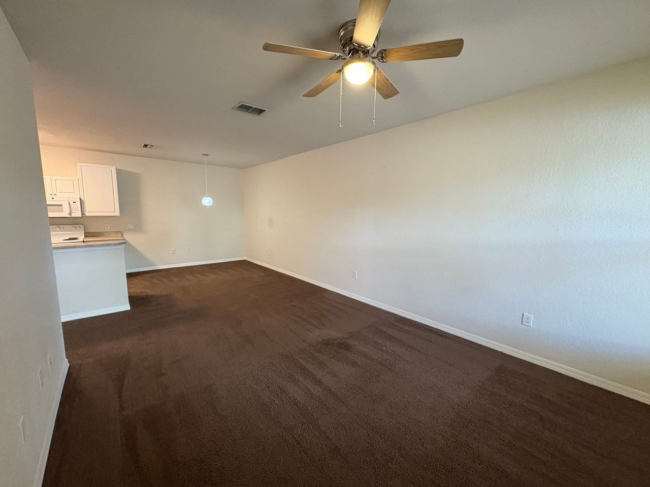 1003 1003 Heminway Circle - Photo 4 of 12