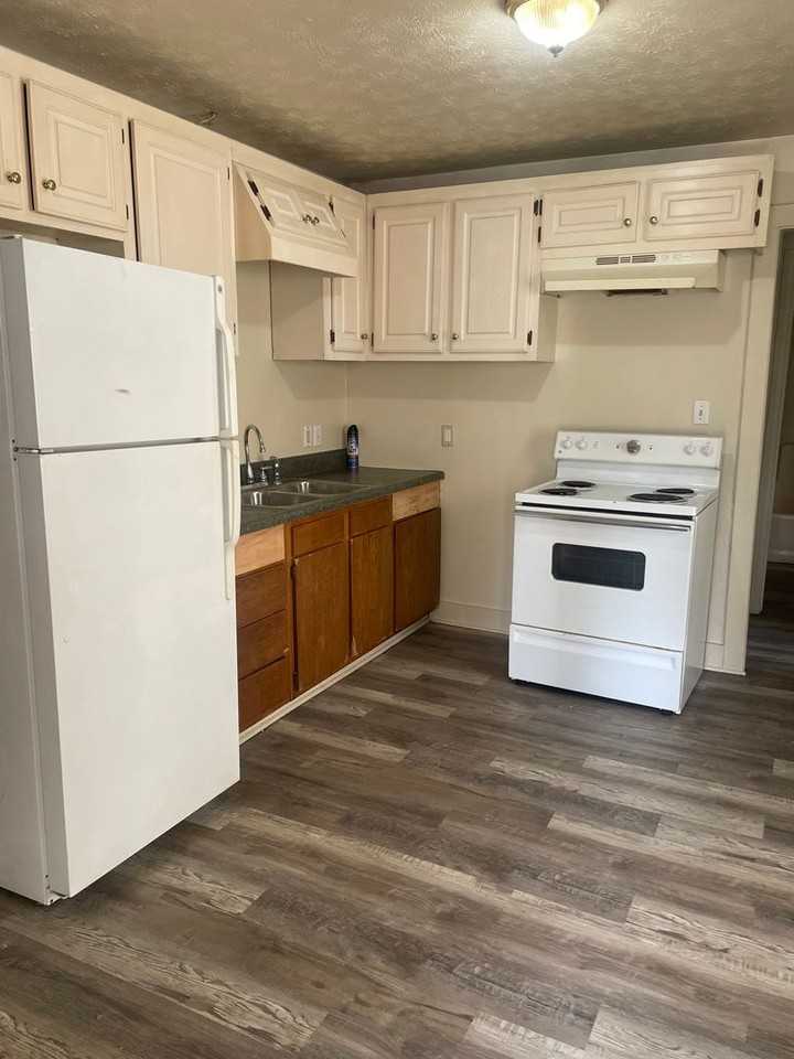 229 Cansler Ave - Photo 6 of 16