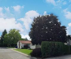 featured image of 3416 E 57th Ave