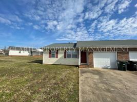 featured image of 117 Skylar Dr Ne