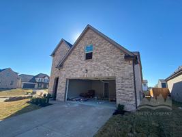 featured image of 10007 Messana Cv