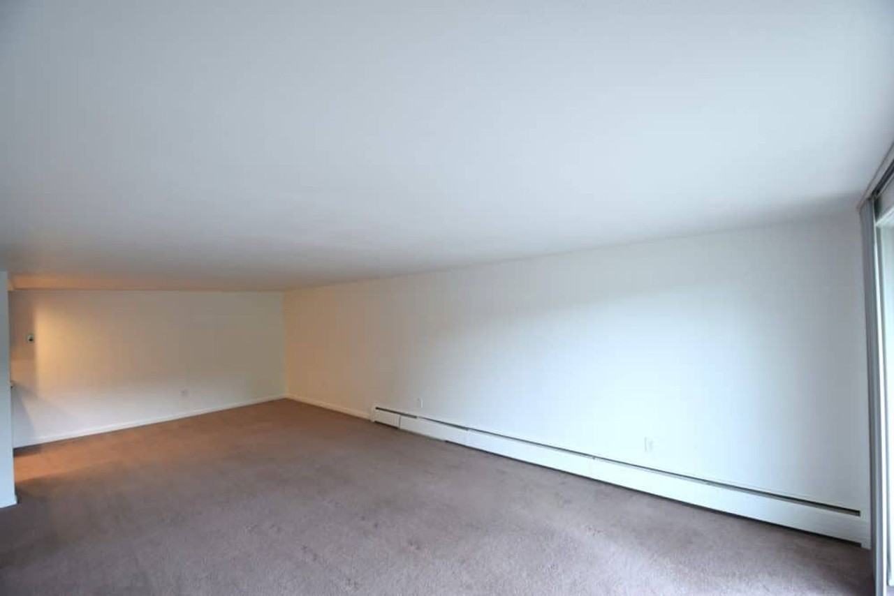 4440 Laguna Pl - Photo 2 of 20