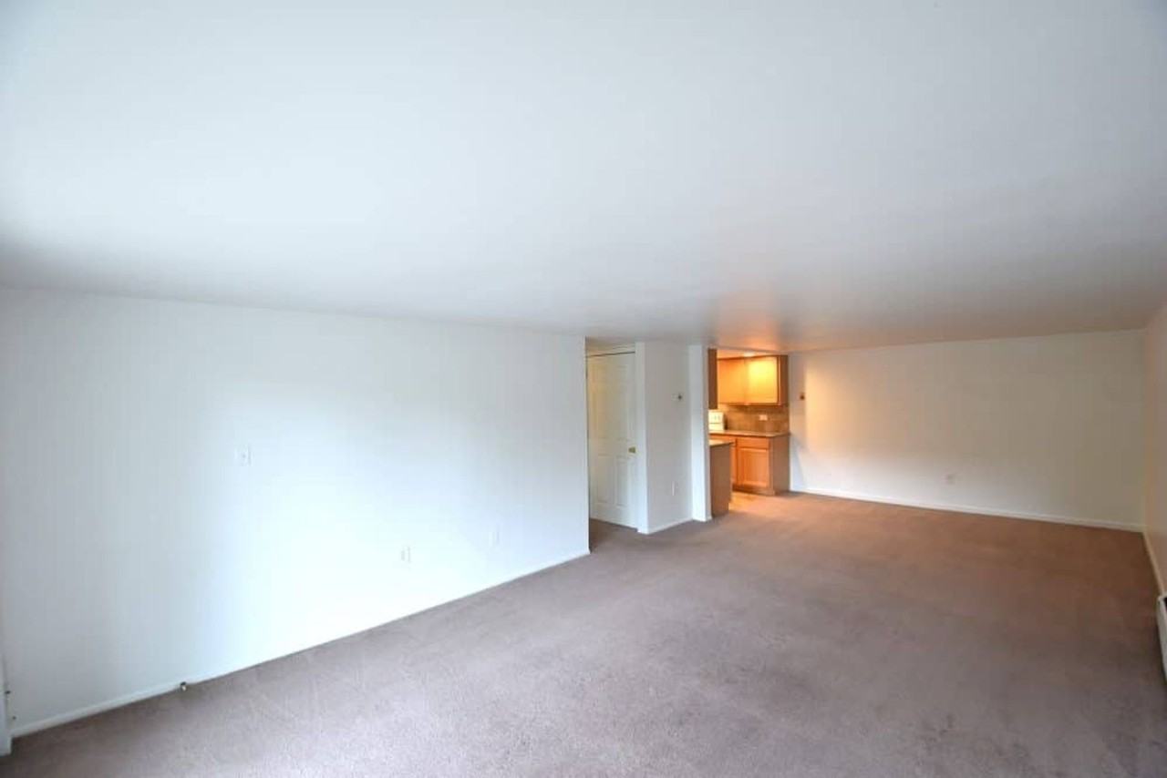 4440 Laguna Pl - Photo 4 of 20
