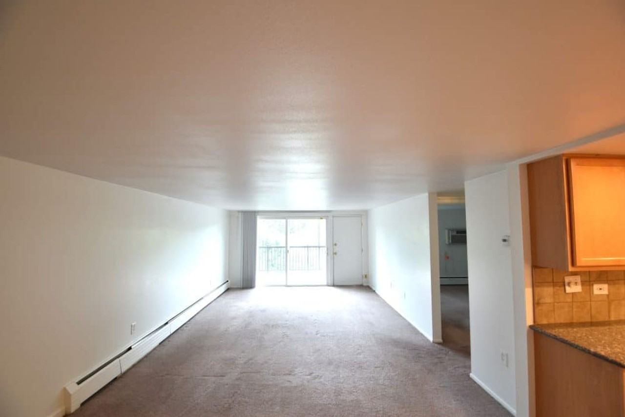 4440 Laguna Pl - Photo 6 of 20