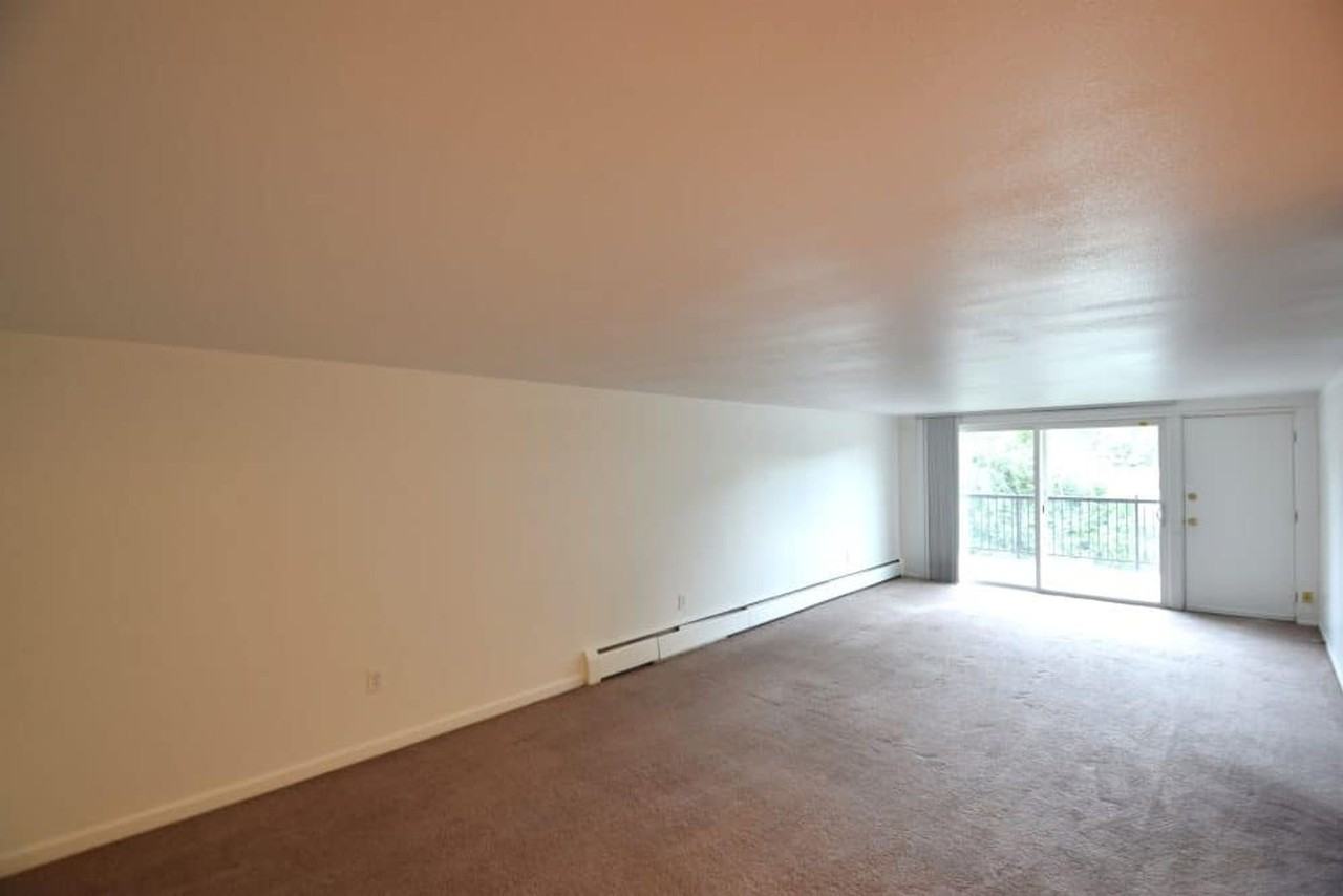4440 Laguna Pl - Photo 7 of 20