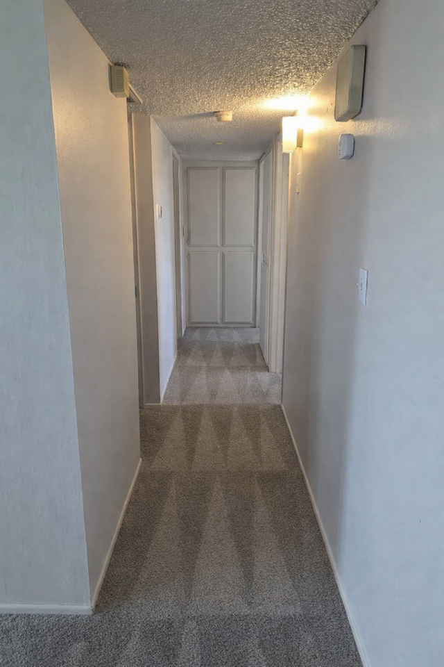 1215 Mckinley Ave - Photo 6 of 13