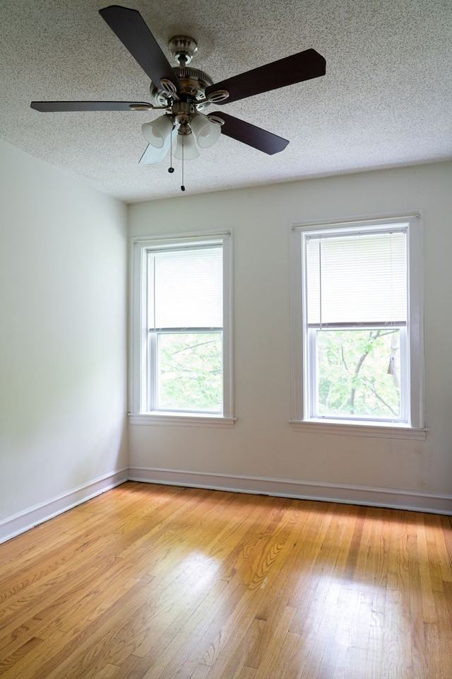 4307 N Campbell Ave #3 - Photo 7 of 11