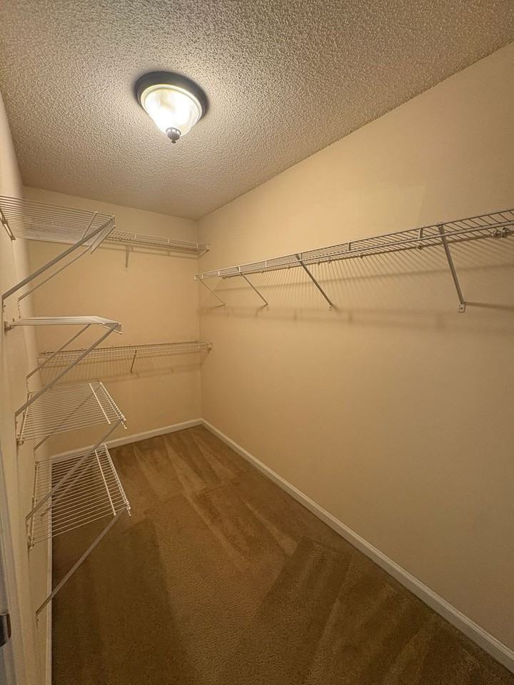 236 Fern Ridge Ct - Photo 7 of 14