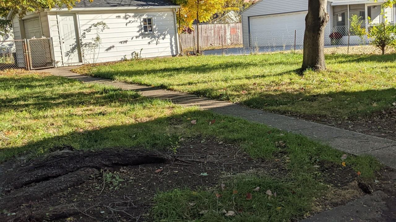 2823 Garfield Dr - Photo 6 of 7