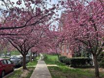 3541 39th St Nw - Photo 1 of 1