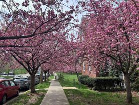 3541 39th St Nw - Photo 1 of 1