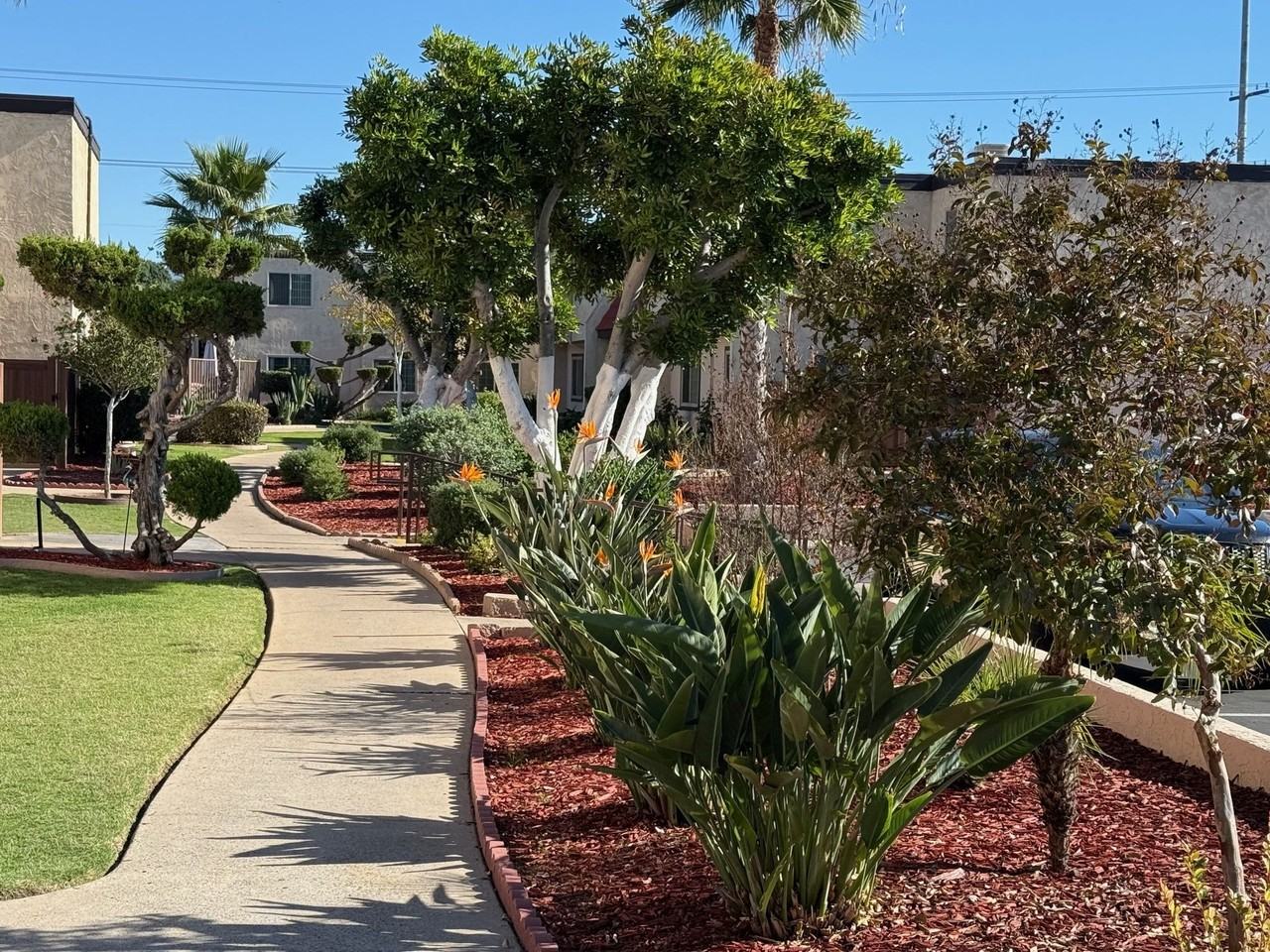 La Roca Plaza - Photo 5 of 50