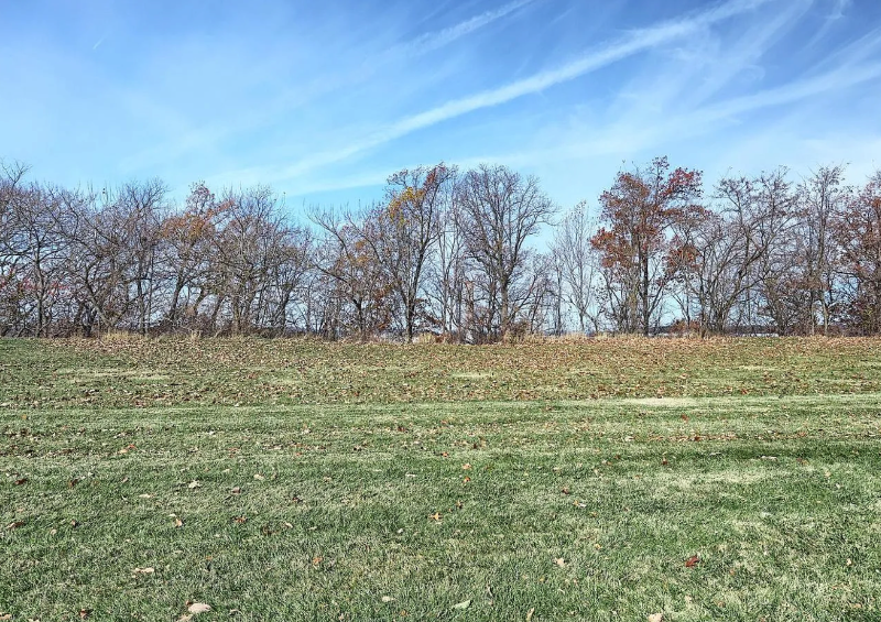 2304 Sunny Hill Cir - Photo 4 of 24