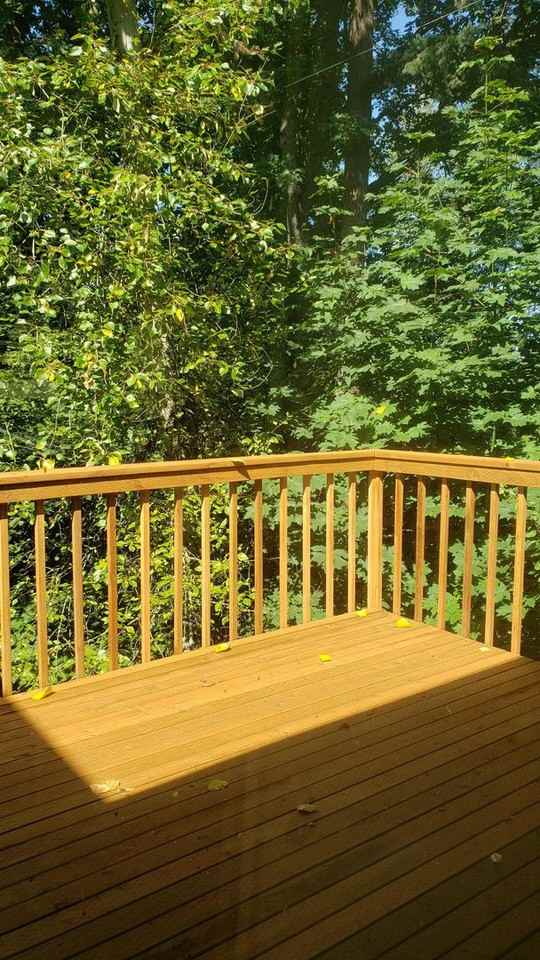 1525 Woburn St - Photo 5 of 16