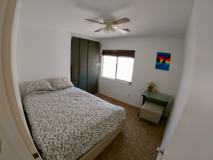 929 Plantain Lily Ave - Photo 1 of 1