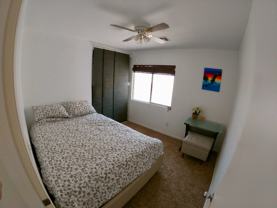 929 Plantain Lily Ave - Photo 1 of 1