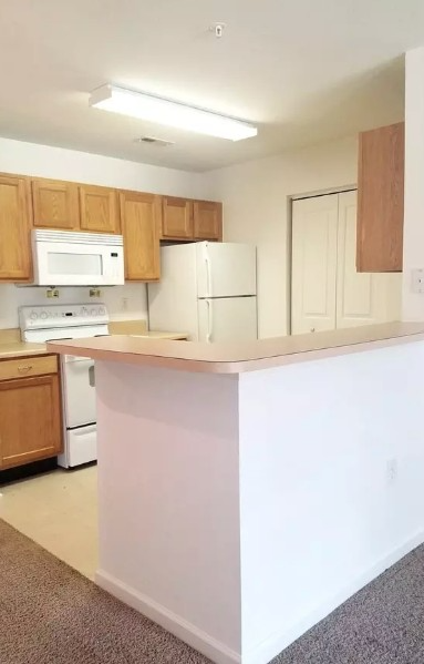 1020 Little John Dr #123 - Photo 4 of 4