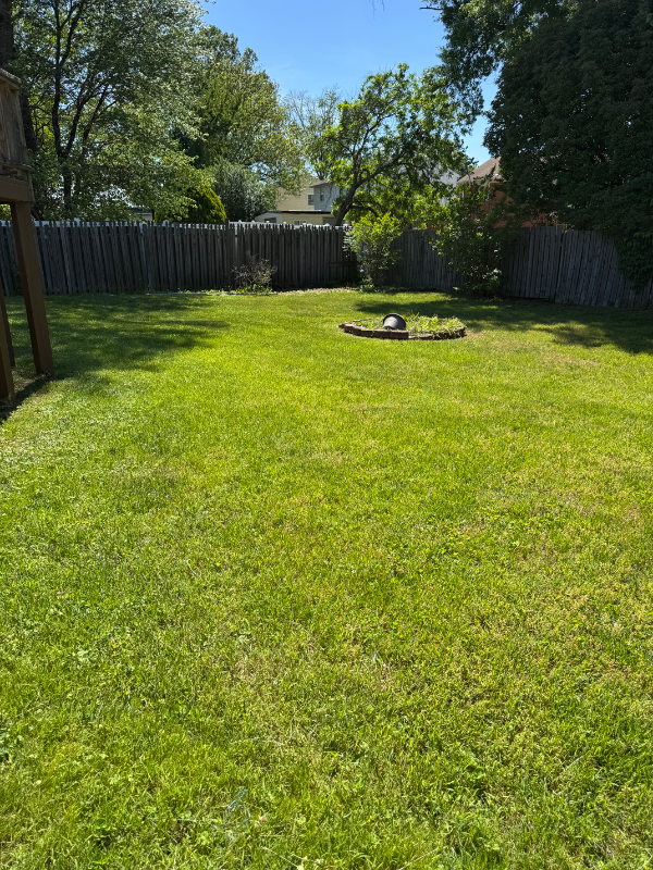 109 Dauntly St - Photo 7 of 9