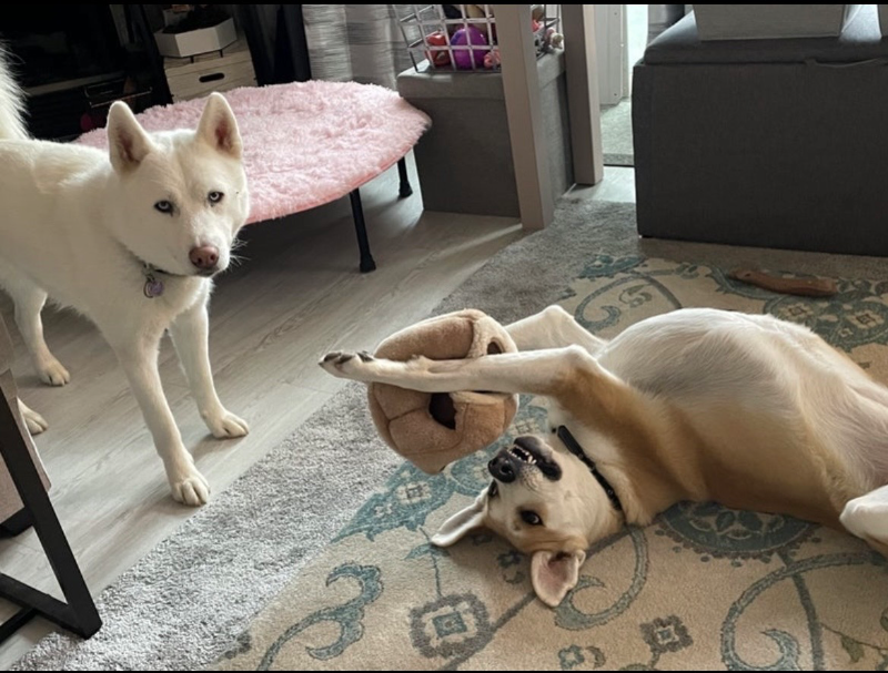 23960 58th Ct S - Photo 5 of 5