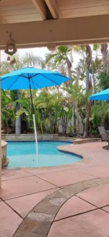 21271 Avenida Nubes - Photo 6 of 17