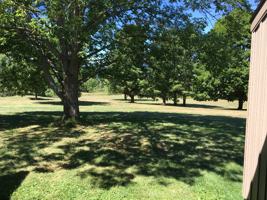 featured image of 1049 Danby Rd