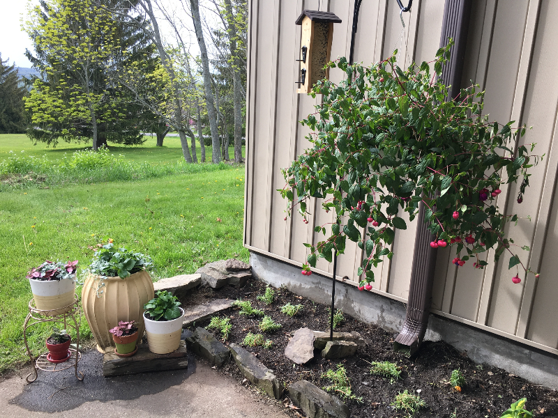 1049 Danby Rd - Photo 2 of 9