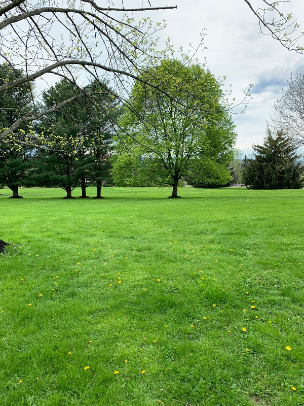 1049 Danby Rd - Photo 3 of 9