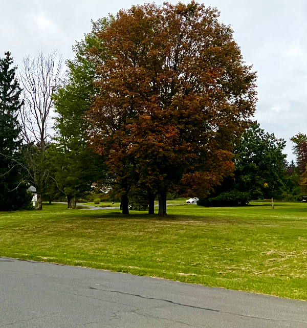 1049 Danby Rd - Photo 5 of 9