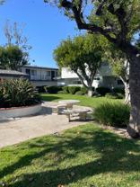 1221 Bee #63 - Photo 1 of 1