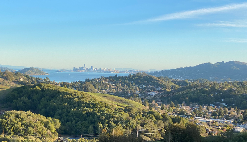 331B Marin Ave #B - Photo 6 of 8