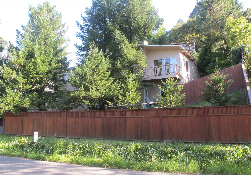 331B Marin Ave #B - Photo 7 of 8