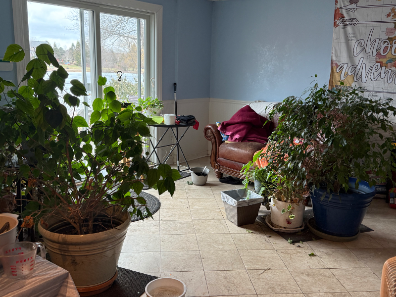 3133 Exeter Dr - Photo 5 of 8