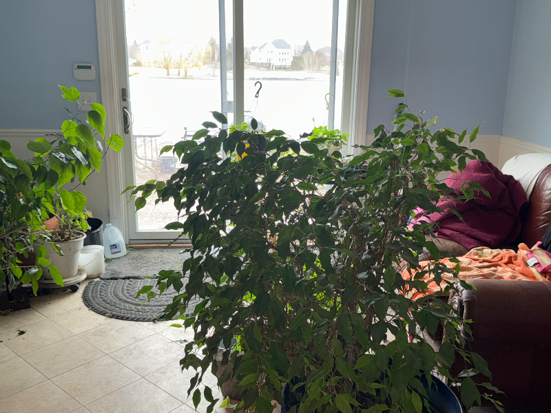 3133 Exeter Dr - Photo 6 of 8